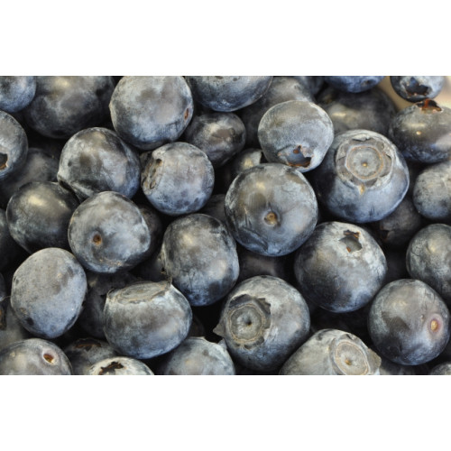 Blueberry Ice