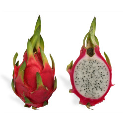 Dragon Fruit 