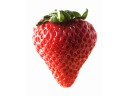 Strawberry Malt